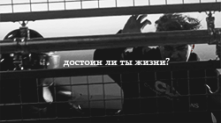 http://upforme.ru/uploads/001a/8a/91/2/47766.gif
