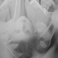 http://upforme.ru/uploads/001a/8a/91/2/69030.gif