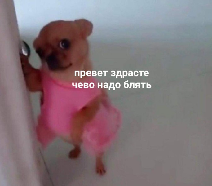 http://upforme.ru/uploads/001a/8a/91/2/98466.jpg