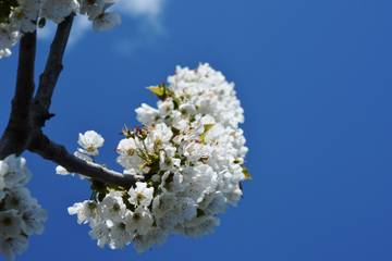 http://upforme.ru/uploads/001a/8c/05/17/t127976.jpg