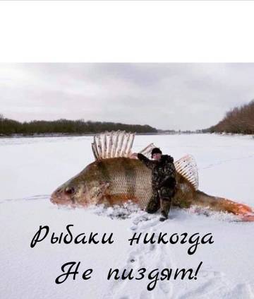 http://upforme.ru/uploads/001a/8c/05/19/t37979.jpg