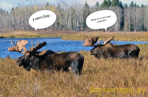http://upforme.ru/uploads/001a/8c/05/2/t272722.jpg