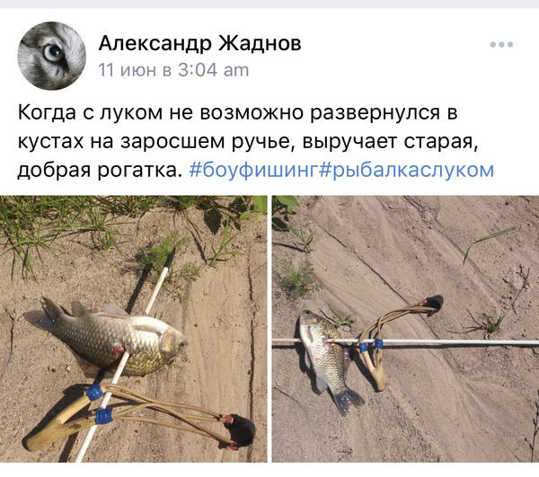 http://upforme.ru/uploads/001a/8c/05/2/t573023.jpg