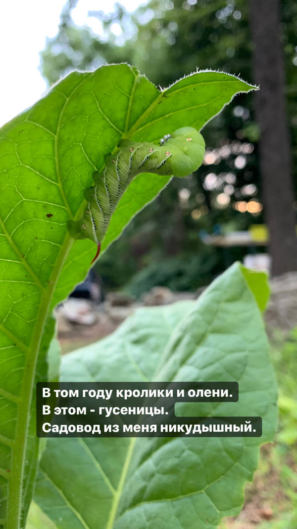 http://upforme.ru/uploads/001a/8c/05/2/t887353.jpg