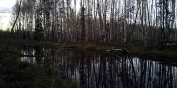 http://upforme.ru/uploads/001a/8c/05/222/t740388.jpg