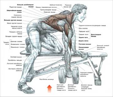 http://upforme.ru/uploads/001a/8c/05/222/t900196.jpg