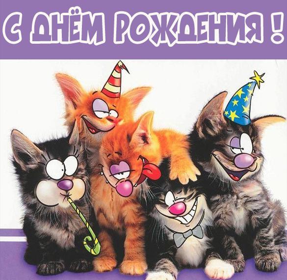 http://upforme.ru/uploads/001a/8c/05/249/454504.jpg