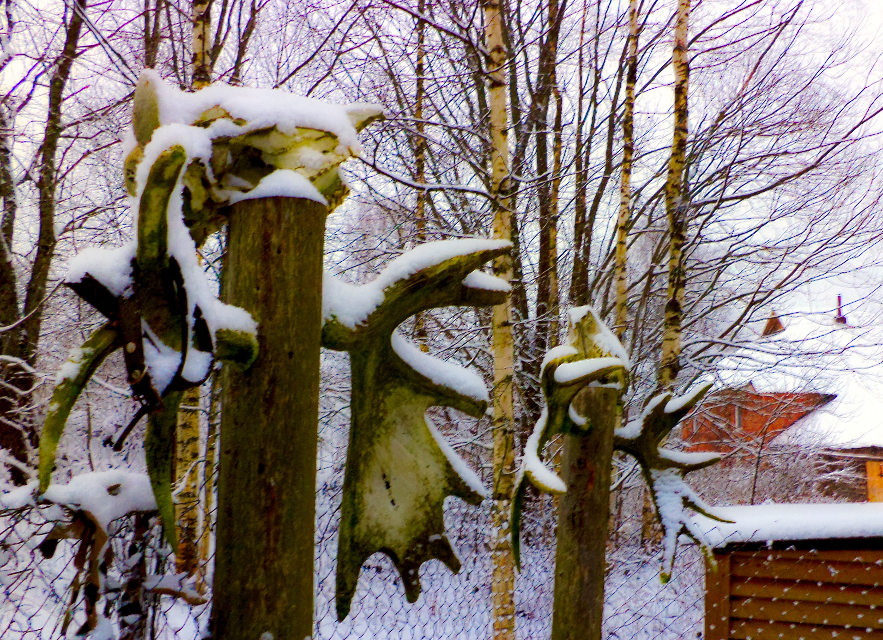 http://upforme.ru/uploads/001a/8c/05/95/542305.jpg