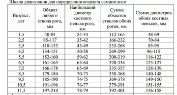 http://upforme.ru/uploads/001a/8c/05/95/t228218.jpg