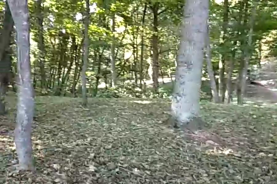 http://upforme.ru/uploads/001a/9f/a0/10/113696.jpg