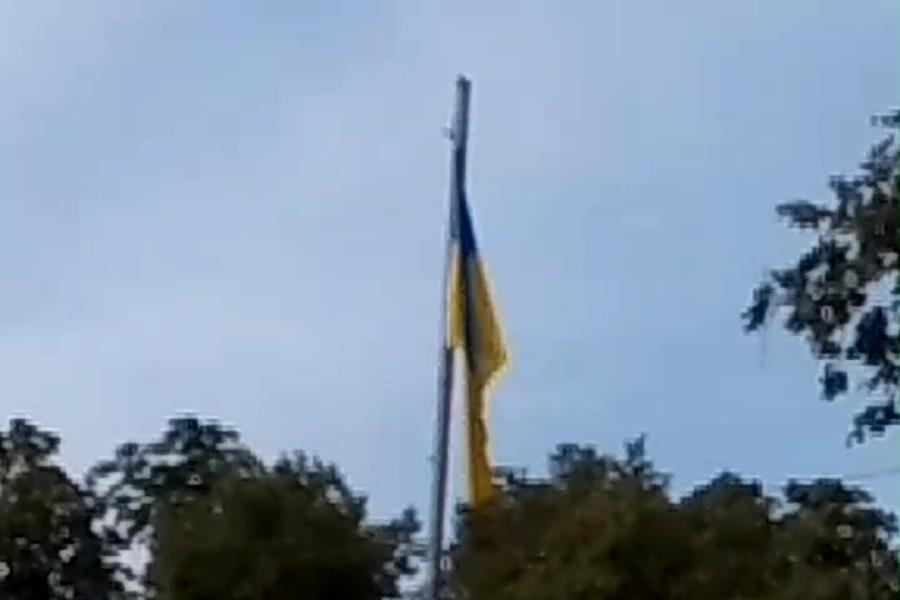 http://upforme.ru/uploads/001a/9f/a0/10/120019.jpg