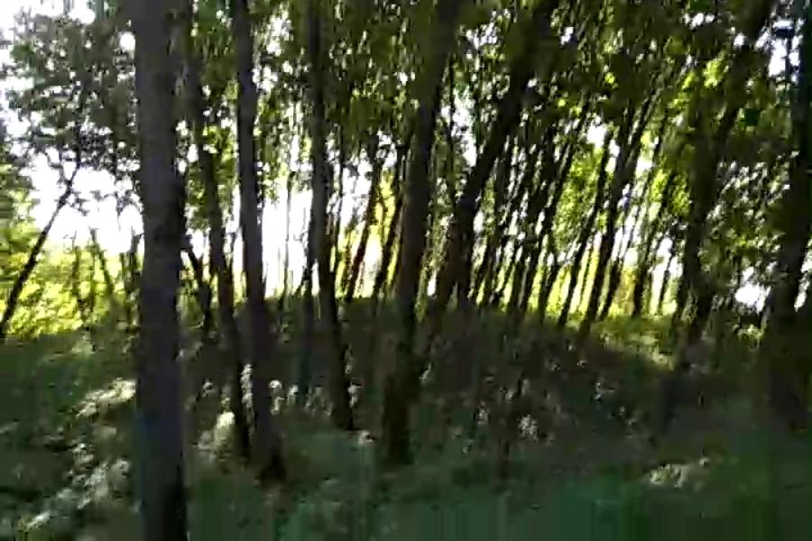http://upforme.ru/uploads/001a/9f/a0/10/122742.jpg
