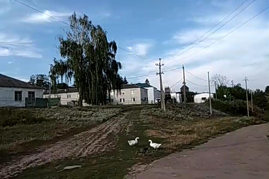 http://upforme.ru/uploads/001a/9f/a0/10/148651.jpg