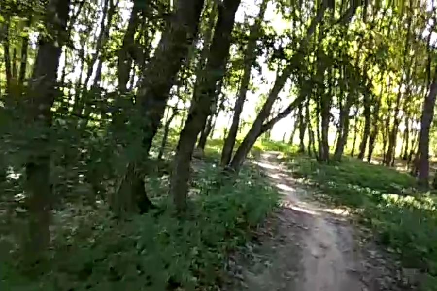 http://upforme.ru/uploads/001a/9f/a0/10/161434.jpg