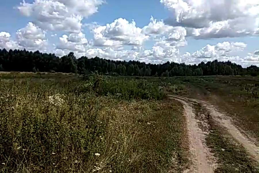 http://upforme.ru/uploads/001a/9f/a0/10/170769.jpg