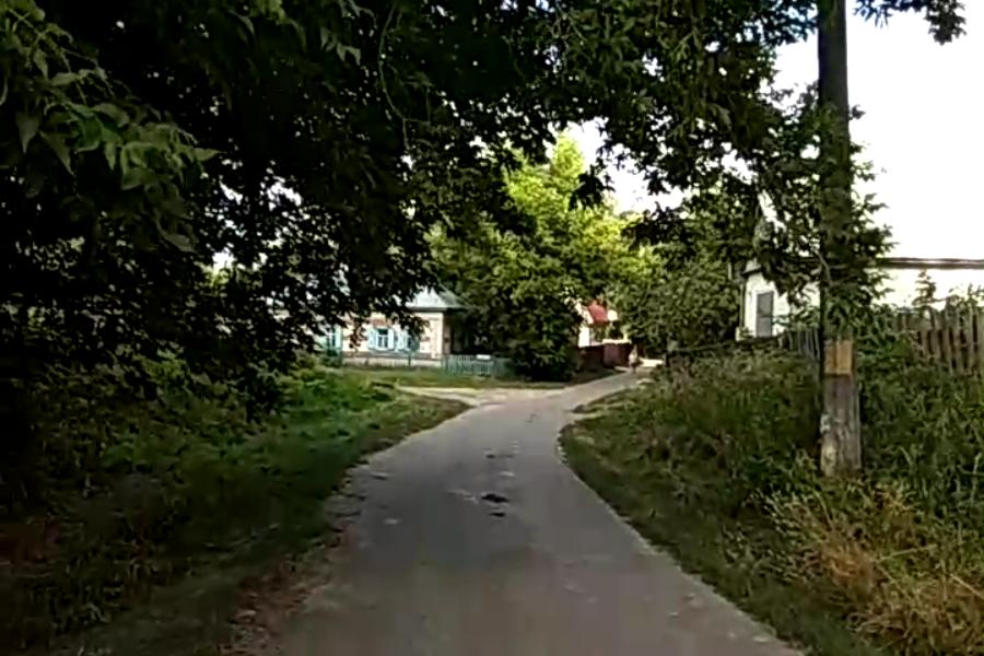 http://upforme.ru/uploads/001a/9f/a0/10/171914.jpg