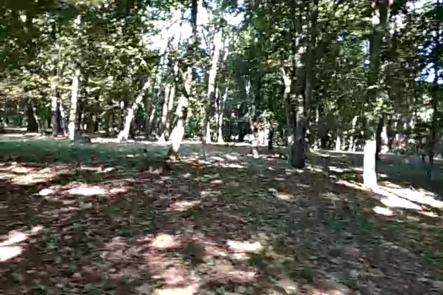 http://upforme.ru/uploads/001a/9f/a0/10/197709.jpg