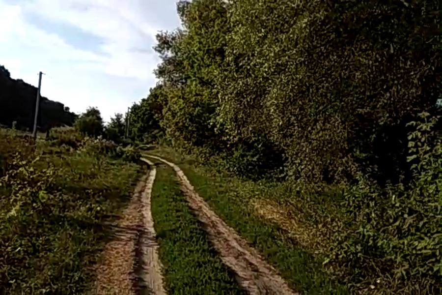 http://upforme.ru/uploads/001a/9f/a0/10/200013.jpg