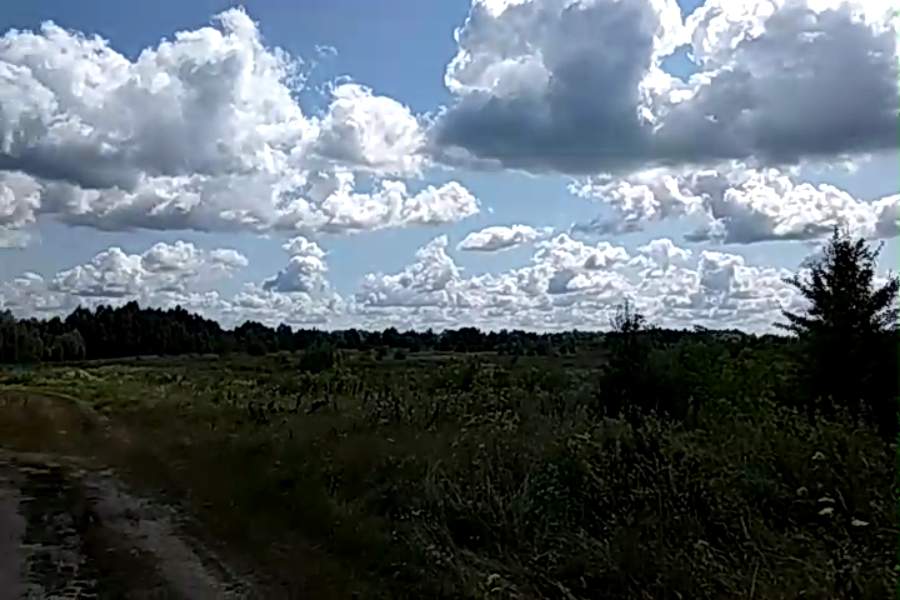 http://upforme.ru/uploads/001a/9f/a0/10/224307.jpg