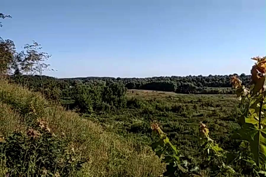 http://upforme.ru/uploads/001a/9f/a0/10/284599.jpg
