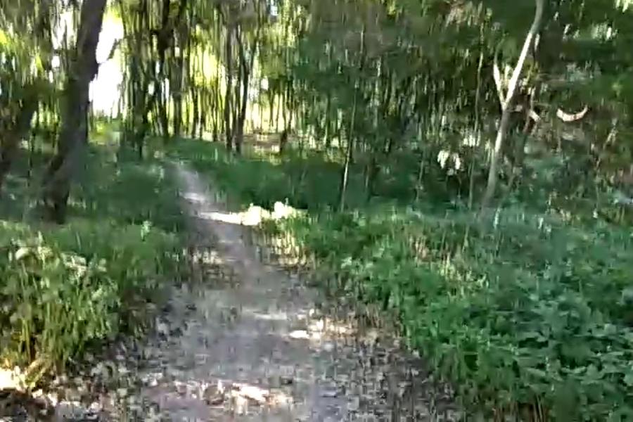 http://upforme.ru/uploads/001a/9f/a0/10/411703.jpg