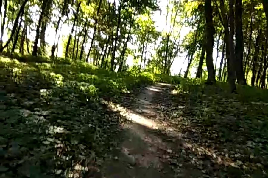 http://upforme.ru/uploads/001a/9f/a0/10/443922.jpg
