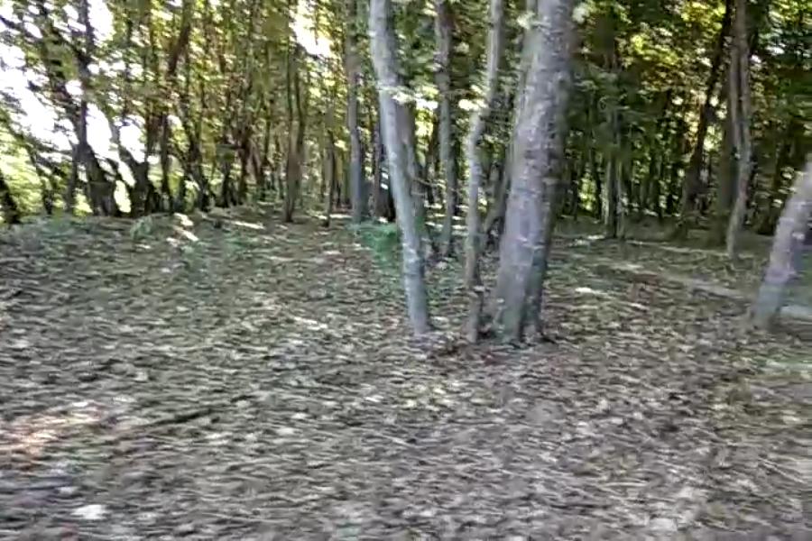 http://upforme.ru/uploads/001a/9f/a0/10/446659.jpg