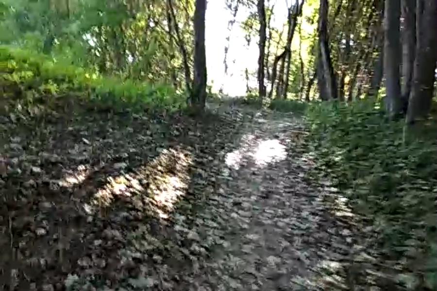 http://upforme.ru/uploads/001a/9f/a0/10/47349.jpg