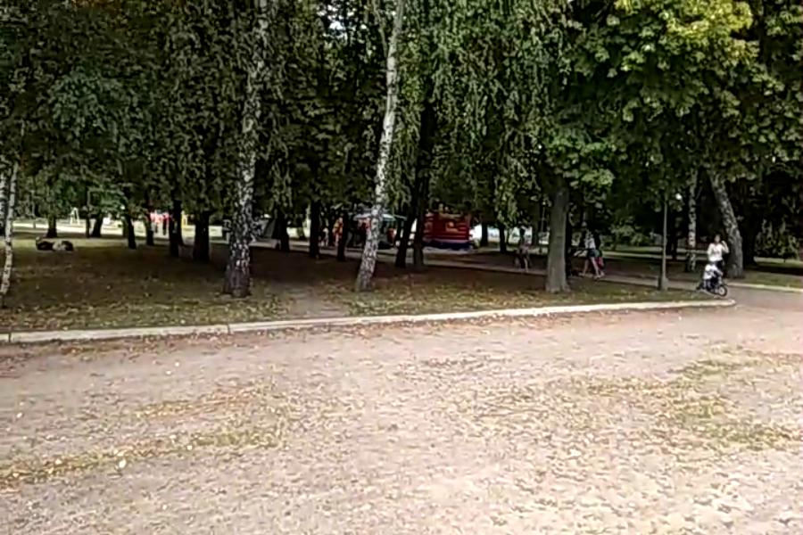 http://upforme.ru/uploads/001a/9f/a0/10/508870.jpg