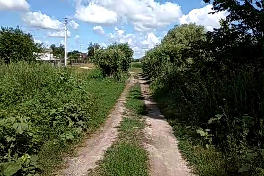 http://upforme.ru/uploads/001a/9f/a0/10/565488.jpg
