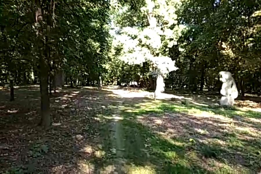 http://upforme.ru/uploads/001a/9f/a0/10/634524.jpg