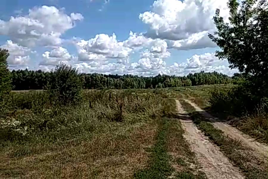 http://upforme.ru/uploads/001a/9f/a0/10/670901.jpg
