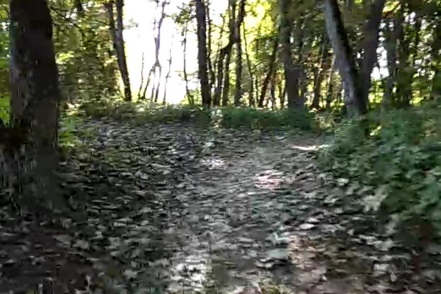 http://upforme.ru/uploads/001a/9f/a0/10/686206.jpg