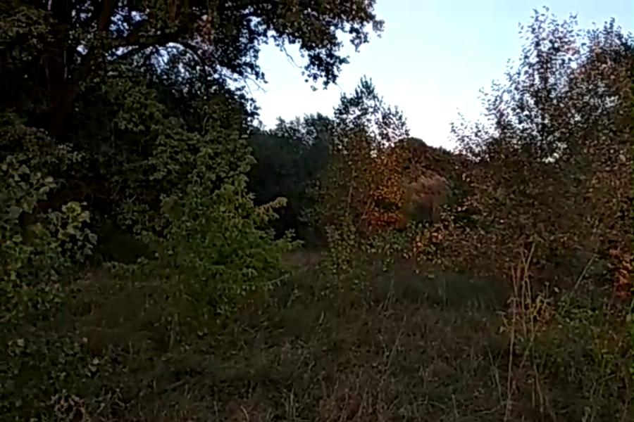 http://upforme.ru/uploads/001a/9f/a0/10/734721.jpg