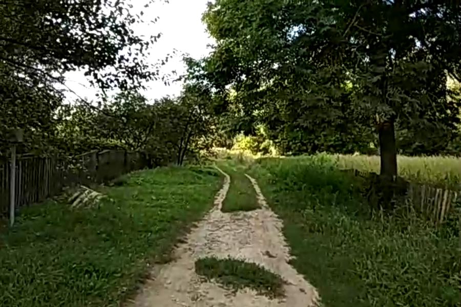 http://upforme.ru/uploads/001a/9f/a0/10/80004.jpg