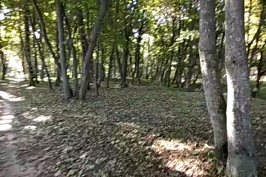 http://upforme.ru/uploads/001a/9f/a0/10/815549.jpg