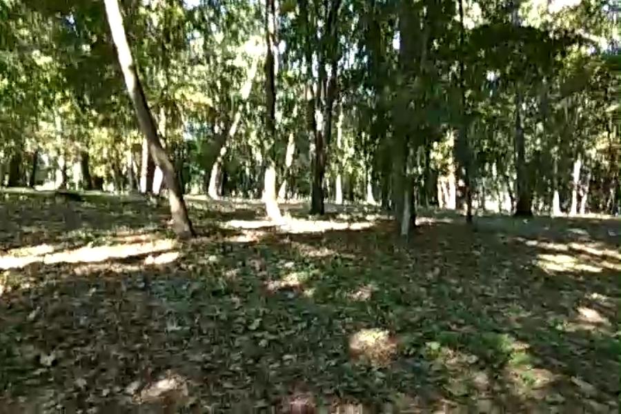 http://upforme.ru/uploads/001a/9f/a0/10/819626.jpg