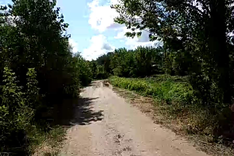 http://upforme.ru/uploads/001a/9f/a0/10/853516.jpg