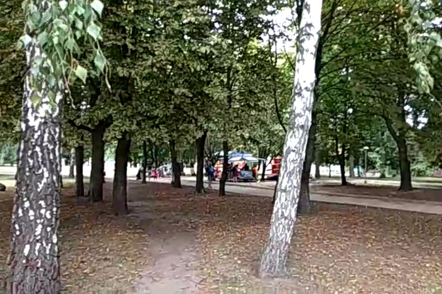 http://upforme.ru/uploads/001a/9f/a0/10/864138.jpg