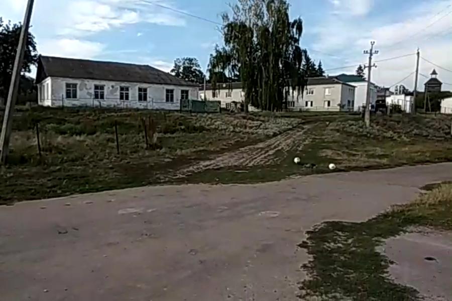 http://upforme.ru/uploads/001a/9f/a0/10/879604.jpg