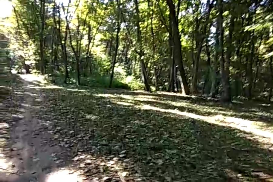 http://upforme.ru/uploads/001a/9f/a0/10/894826.jpg