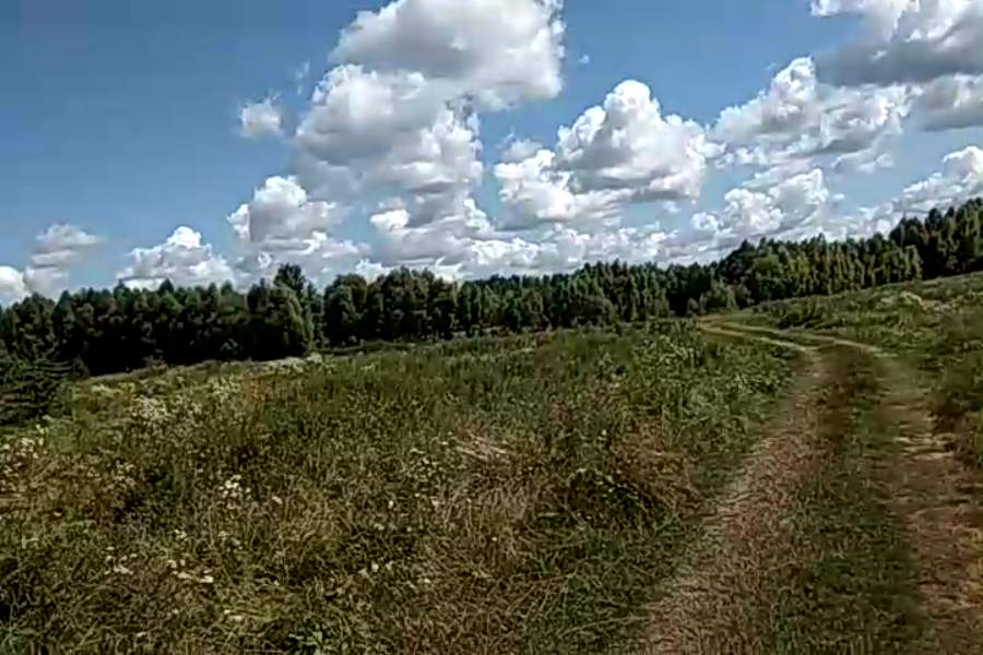 http://upforme.ru/uploads/001a/9f/a0/10/942353.jpg