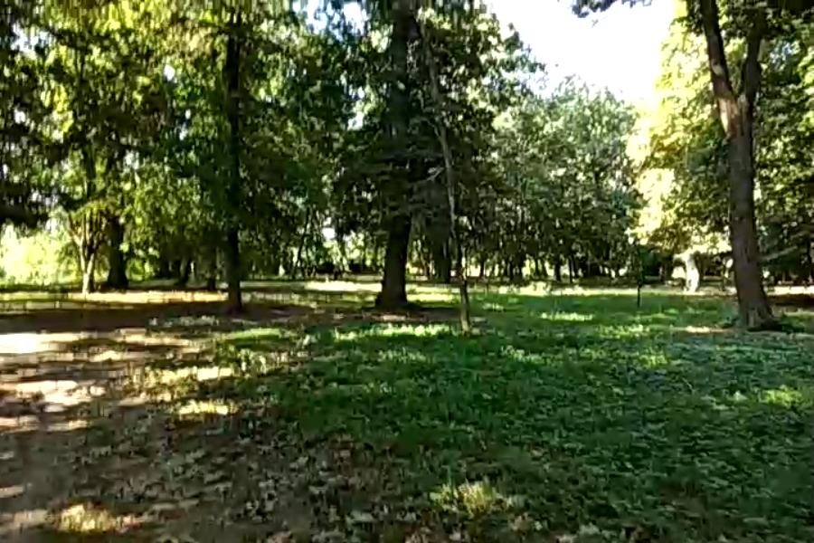 http://upforme.ru/uploads/001a/9f/a0/10/958341.jpg