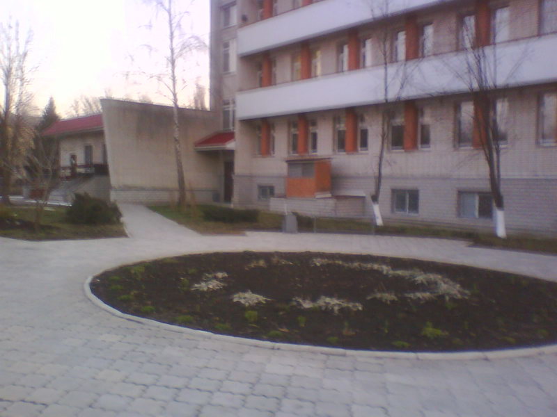 http://upforme.ru/uploads/001a/9f/a0/11/115442.jpg
