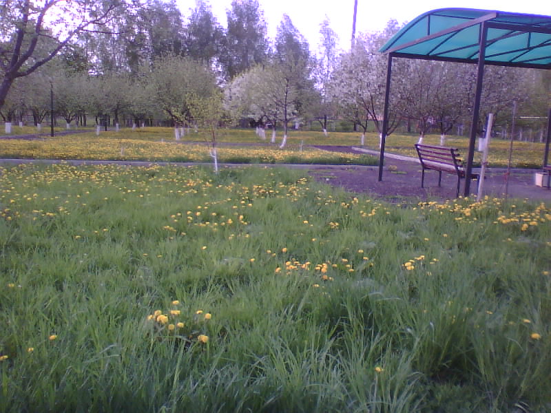 http://upforme.ru/uploads/001a/9f/a0/11/128293.jpg
