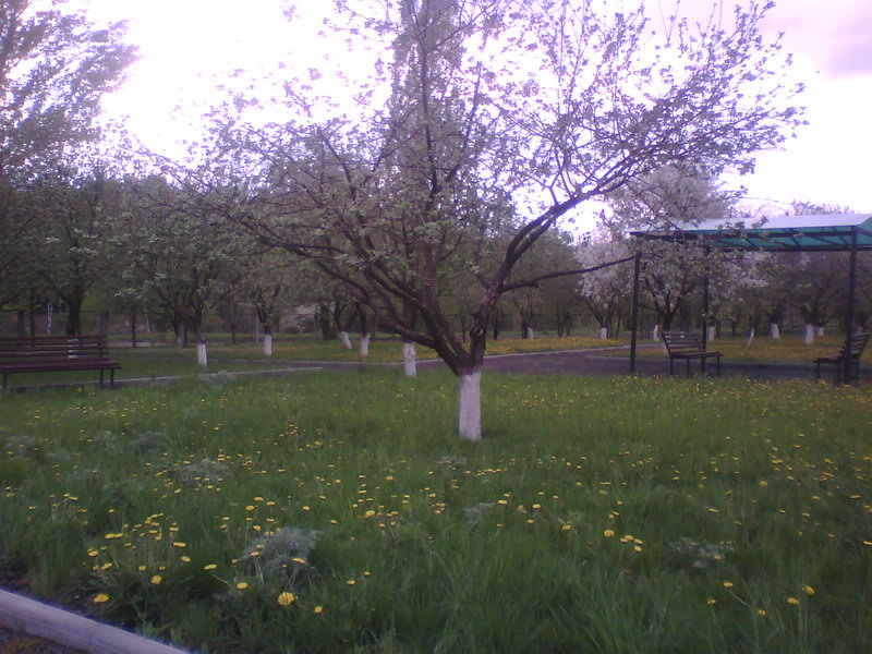 http://upforme.ru/uploads/001a/9f/a0/11/130411.jpg