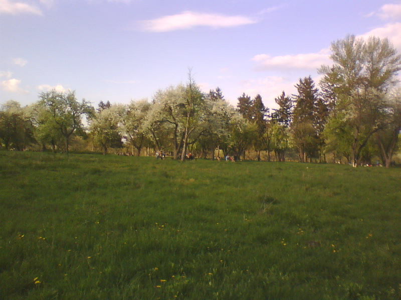 http://upforme.ru/uploads/001a/9f/a0/11/171812.jpg