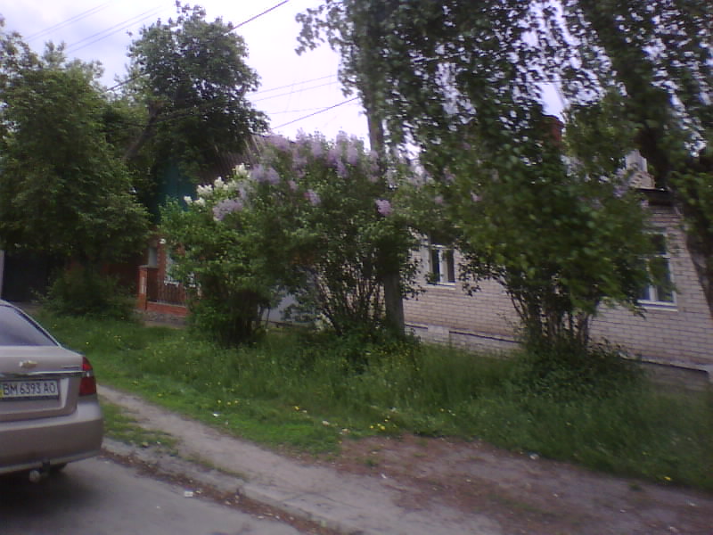 http://upforme.ru/uploads/001a/9f/a0/11/200025.jpg