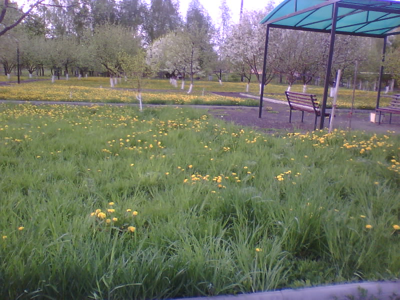 http://upforme.ru/uploads/001a/9f/a0/11/207126.jpg