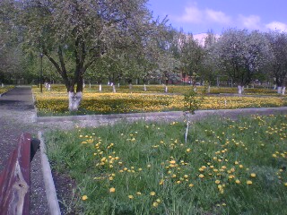 http://upforme.ru/uploads/001a/9f/a0/11/223821.jpg